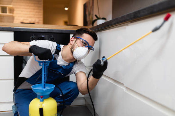 Trusted Boyne City, MI Pest Control Experts