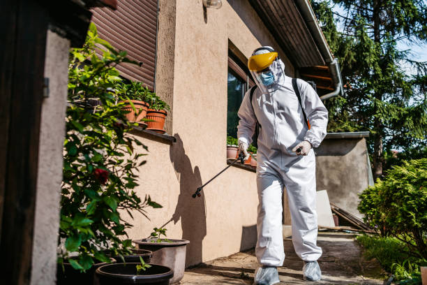 Best Pest Prevention Services  in Boyne City, MI