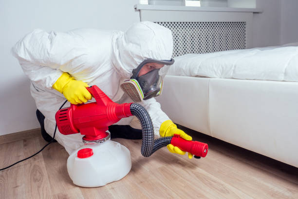 Best Mosquito Control Services  in Boyne City, MI