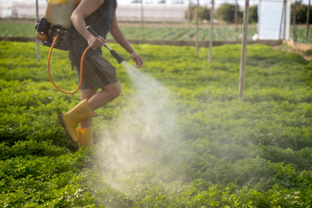 Best Pest Control Near Me  in Boyne City, MI