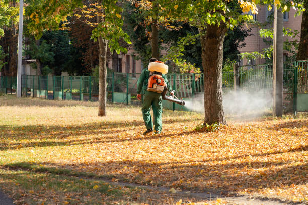 Best Ant Control Services  in Boyne City, MI