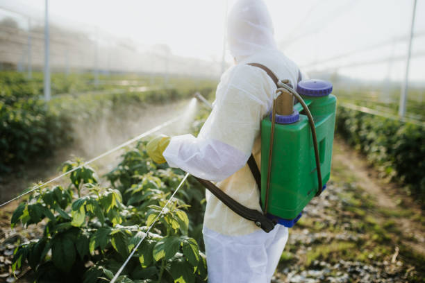 Best Best Pest Control Companies  in Boyne City, MI